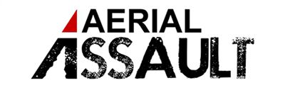 Aerial Assault Logo